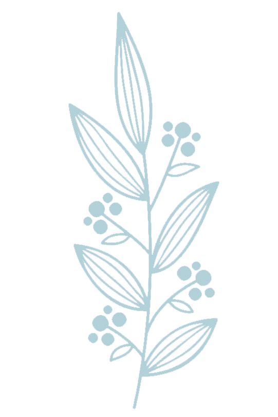 Reviews 2 therapy flower 8